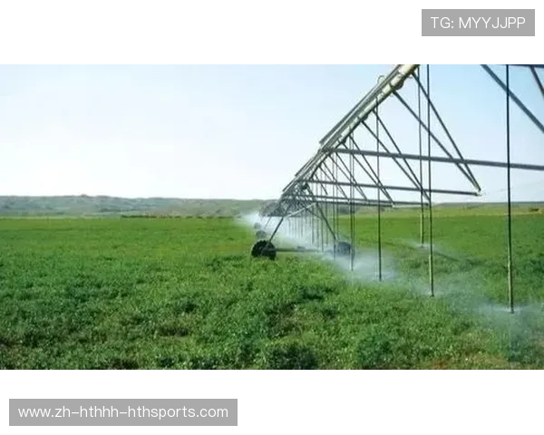 足球光合作用原理是否能未来用于球场绿化与光伏能源结合实践